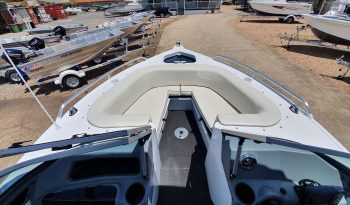 New Quintrex 500 Cruiseabout full