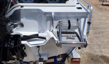 New Quintrex 450 FishAbout full